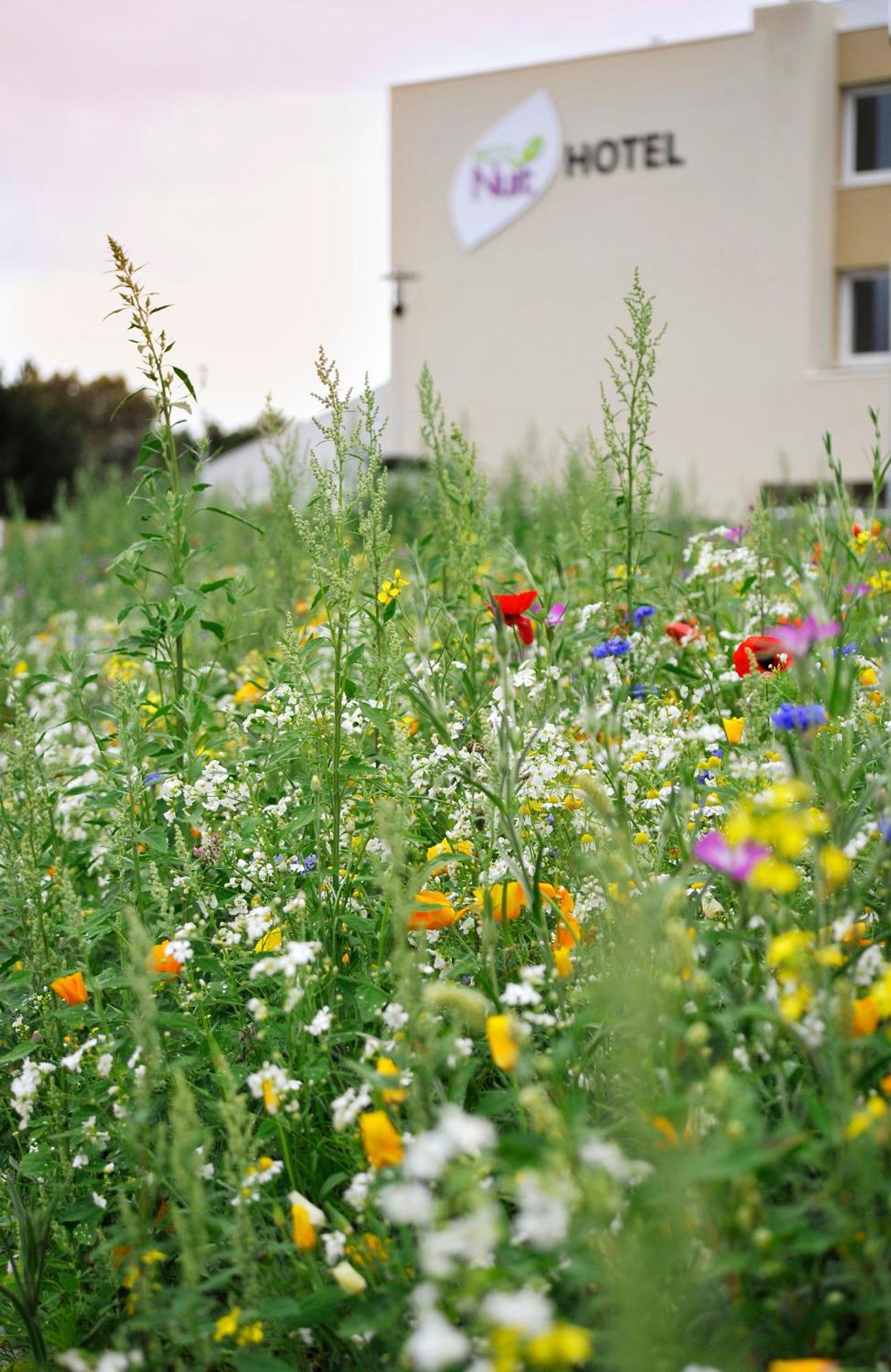 Eco Nuit La Baule Guerande Hotel Екстериор снимка